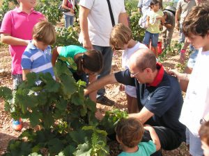 foto-vendimia-abierta