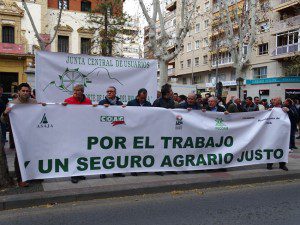 manifestación2