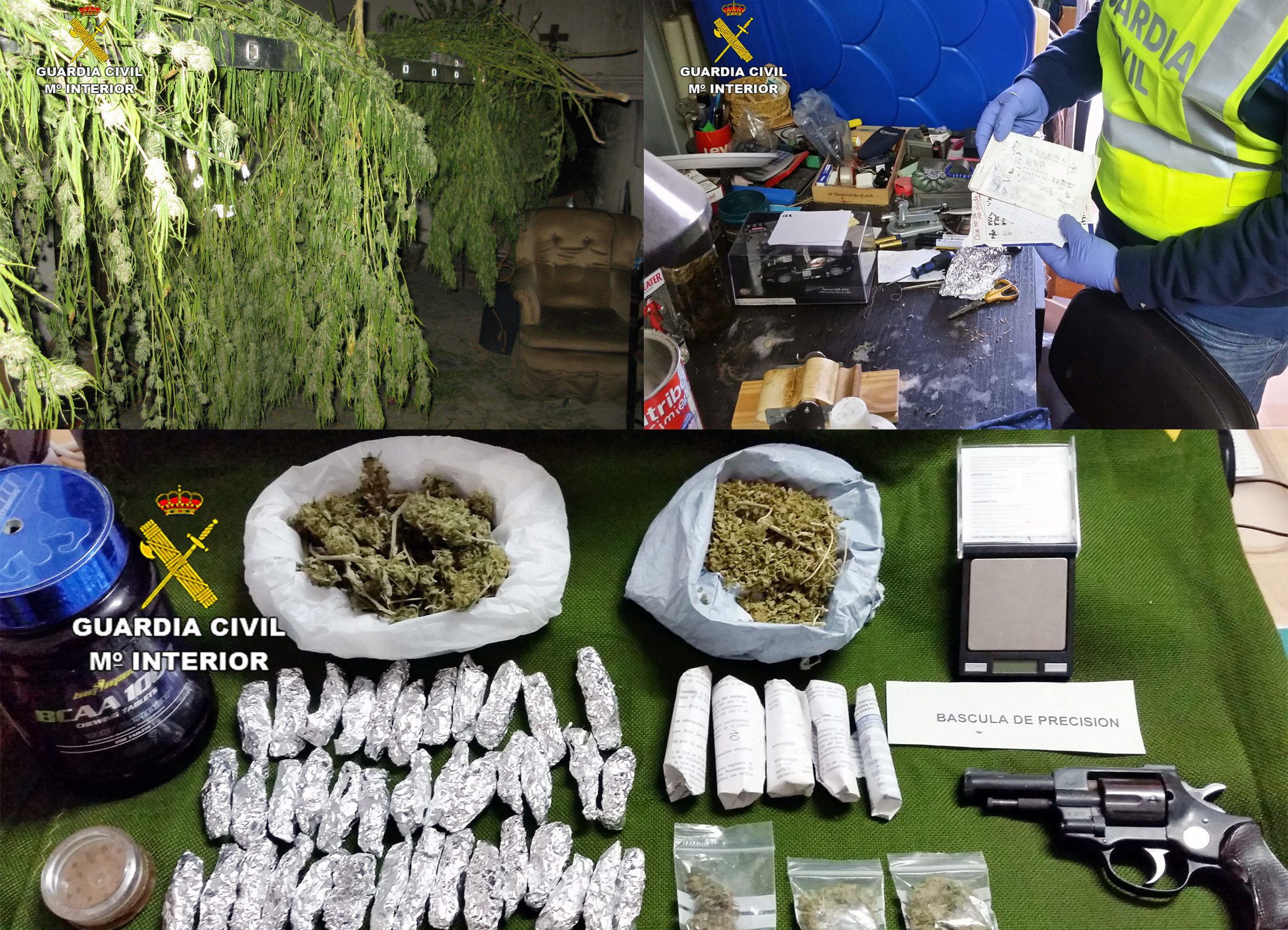 La Guardia Civil desmantela en Jumilla tres inmuebles dedicados al cultivo, secado y distribución de marihuana