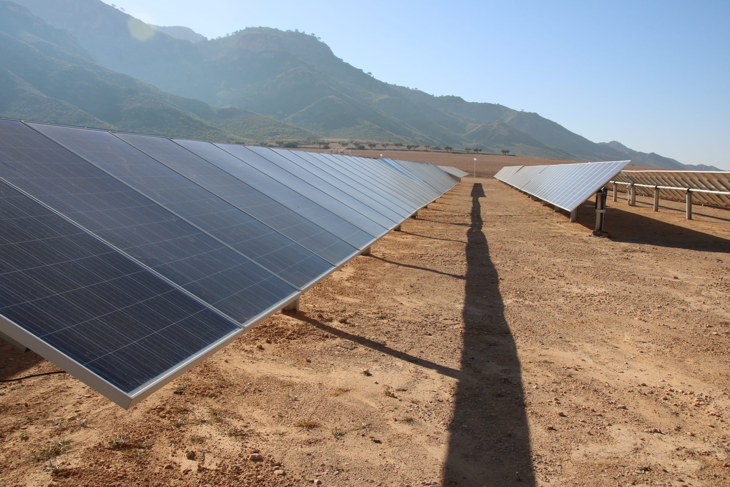 El nuevo parque solar fotovoltaico de Jumilla sigue cumpliendo trámites