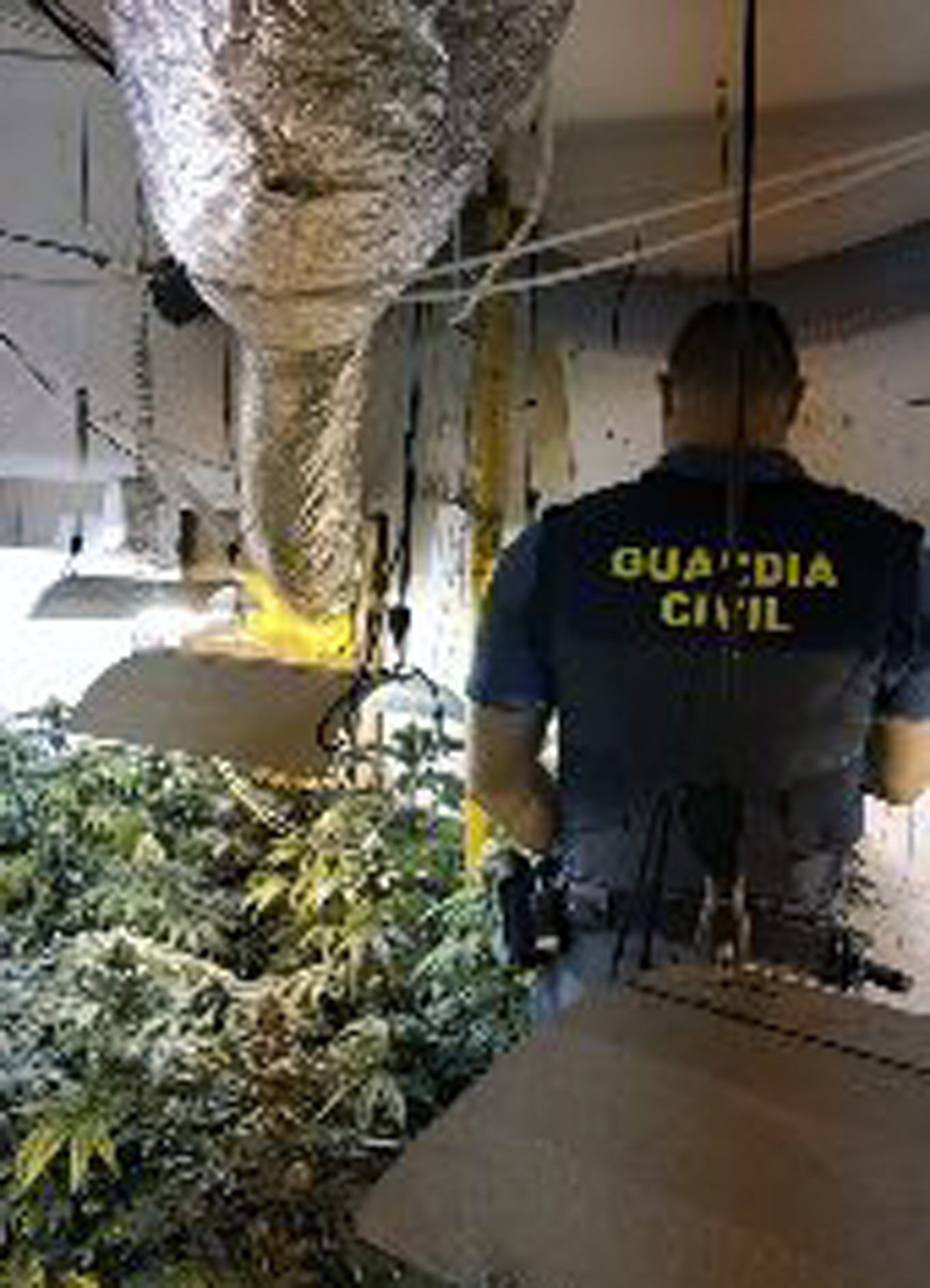 La Guardia Civil desmantela en Jumilla un grupo criminal dedicado al tráfico de drogas