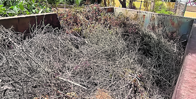 IU pide una solución para la eliminación de restos de podas en pequeñas parcelas