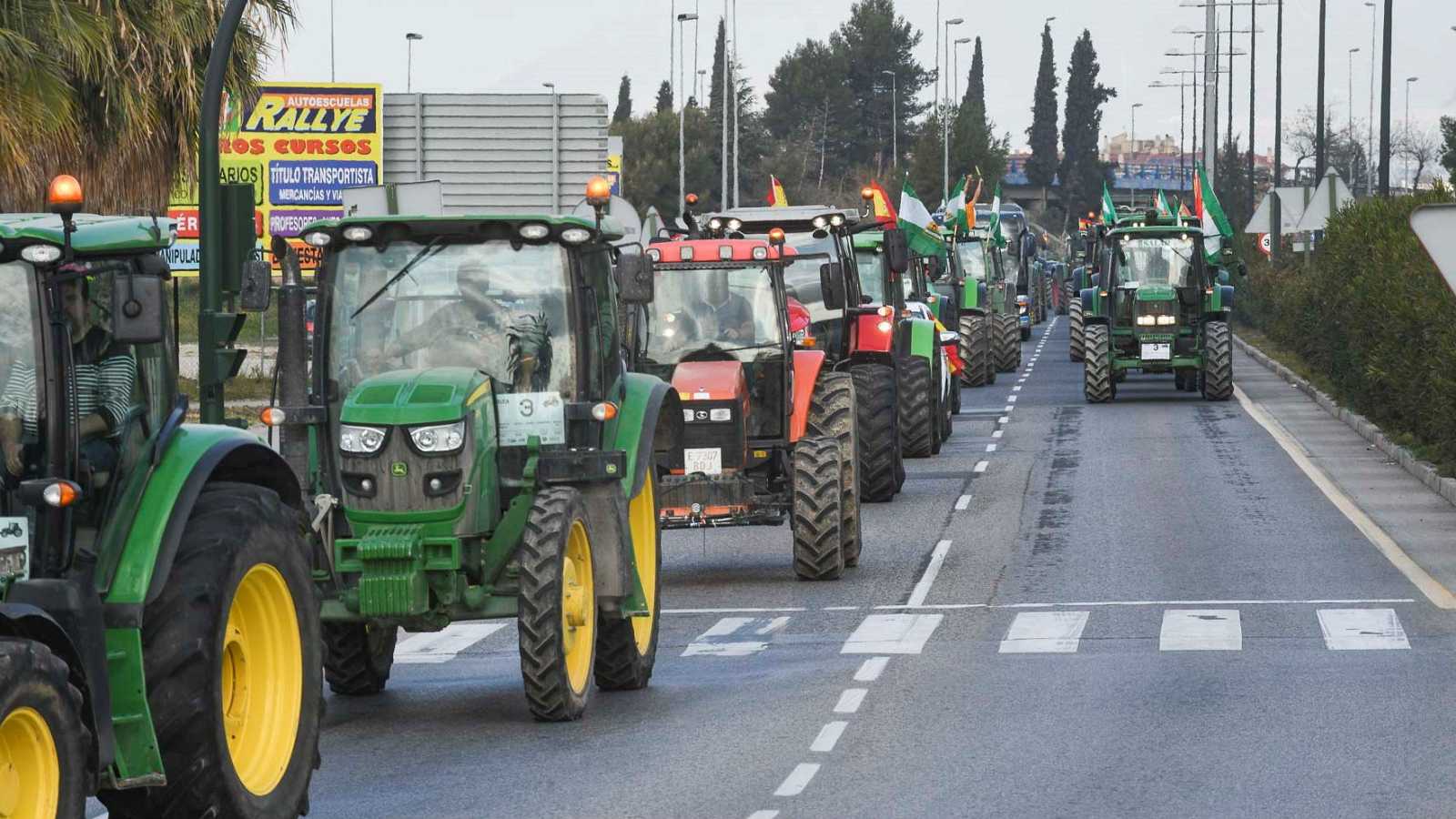 Asaja y Coag protestan esta mañana con una marcha lenta de tractores por Jumilla
