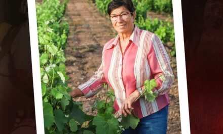 María del Carmen Tomás, «Mari la Filla»,  será nombrada Agricultora del Año 2022 por la Federación de Peñas