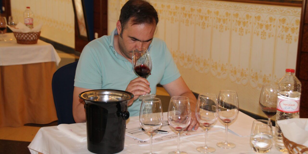 La añada 2021 de los vinos DOP Jumilla se califica de ‘Excelente’