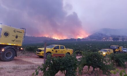 Arde el paraje de La Patoja en el término municipal de Jumilla