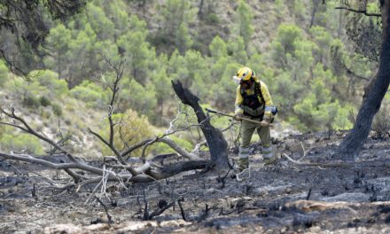 El Consejo de Ministros declara zona catastrófica el área afectada por el incendio de La Patoja en Jumilla