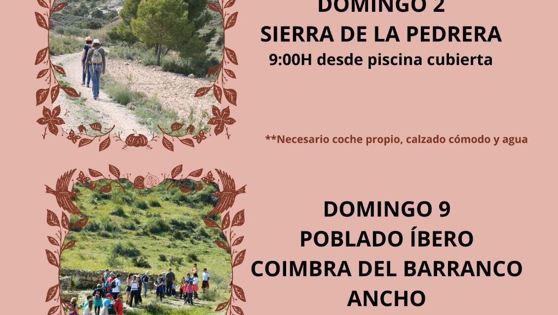 Turismo programa visitas guiadas a la Pedrera, a Coimbra y al cementerio