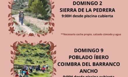 Turismo programa visitas guiadas a la Pedrera, a Coimbra y al cementerio