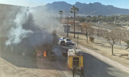 Los bomberos apagan el fuego de los contenedores ubicados en la Ronda Poniente