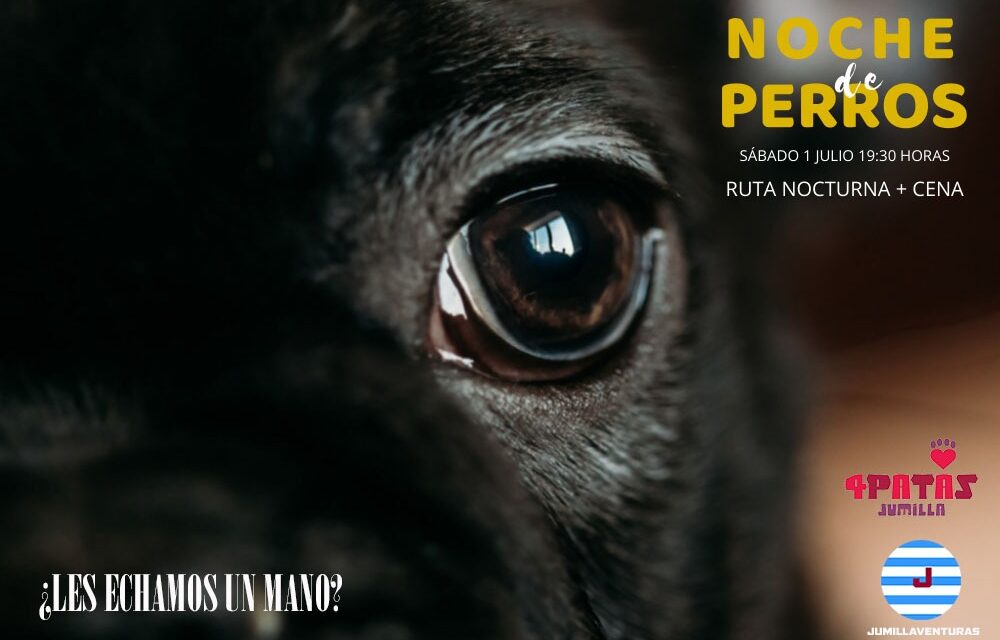 Cuatro Patas Jumilla organiza la ruta ‘Noche de perros’ y un taller sobre educación canina y felina