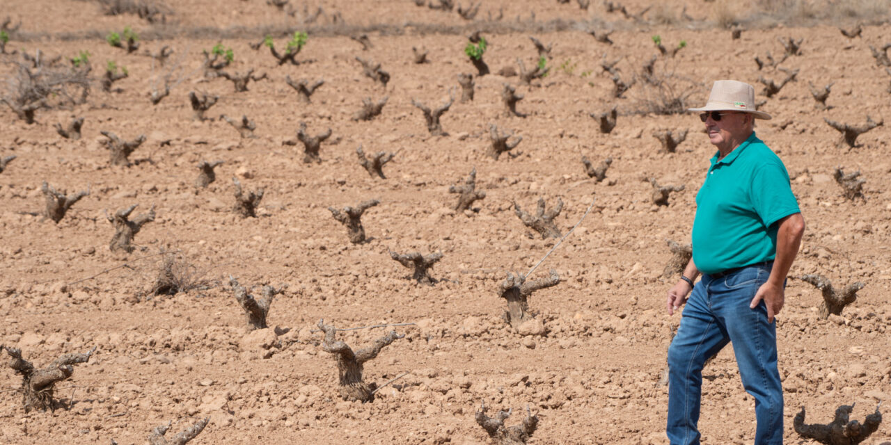 Pedro García de Coag: “Debido a la sequía, el campo en Jumilla se encuentra en la UVI”