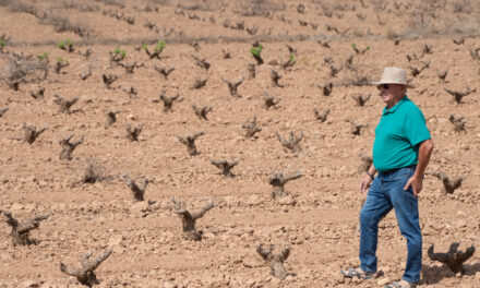 Pedro García de Coag: “Debido a la sequía, el campo en Jumilla se encuentra en la UVI”