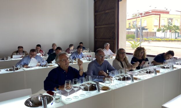 La añada 2022 de los vinos DOP Jumilla se califica como “excelente” por parte del Consejo Regulador