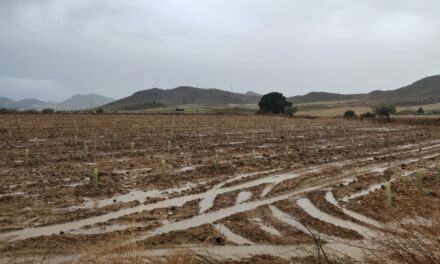 Mayo ha dejado en el término municipal unos acumulados de lluvia de hasta 190 l/m2