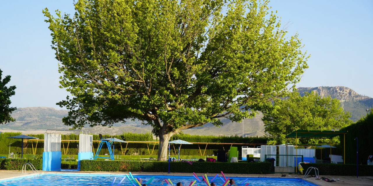 Las piscinas de Jumilla son el respiro de bañistas, nadadores, escuelas de verano, turistas y familias