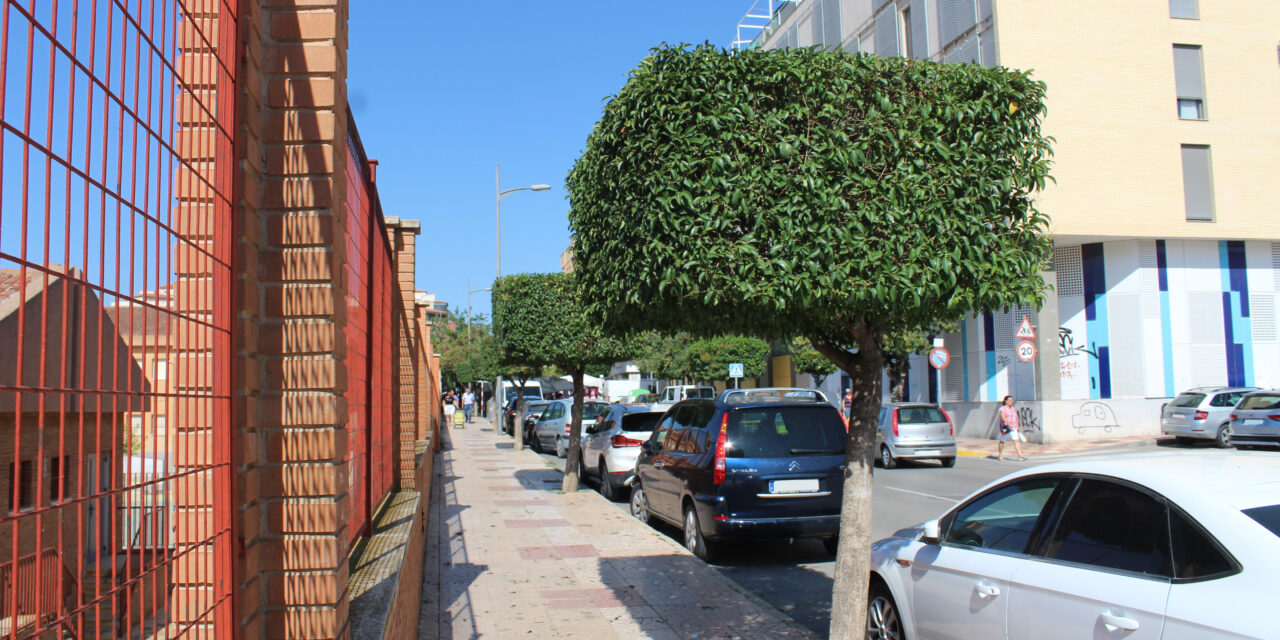 IU Verdes-Podemos pide que se aumenten la cantidad de árboles en el municipio