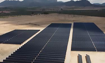 Visalia construye un parque fotovoltaico en Jumilla, con una inversión de 3 millones de euros