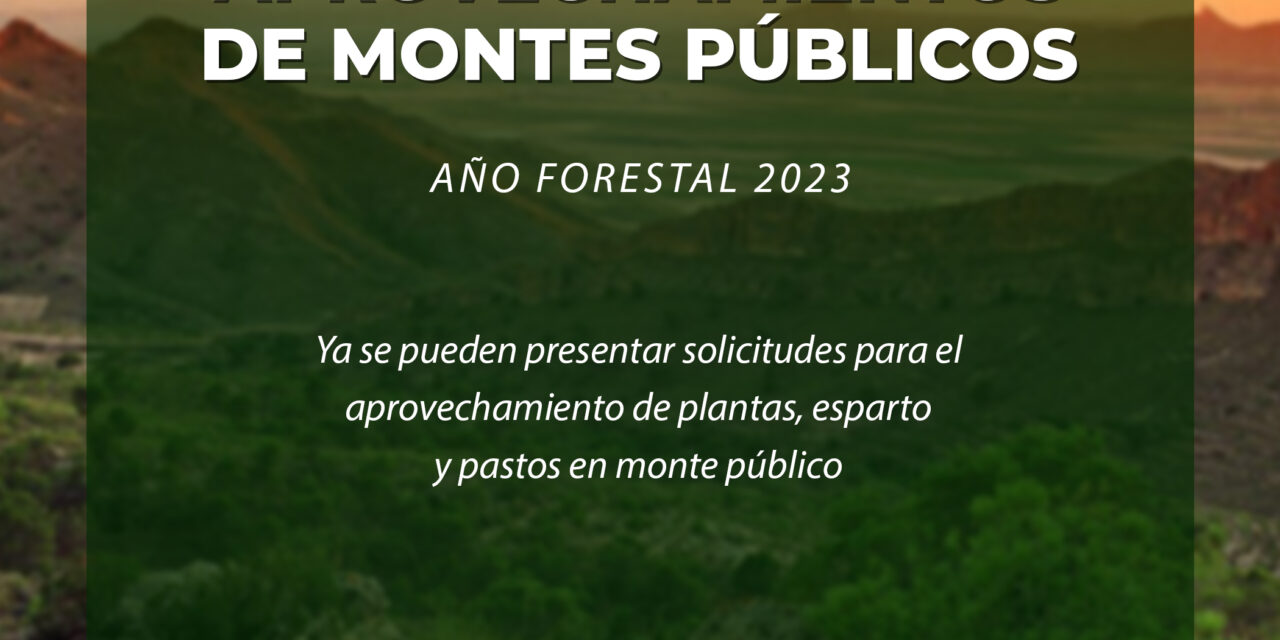 El Ayuntamiento publica el Plan de Aprovechamiento de montes de utilidad para el año forestal 2023