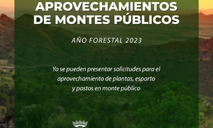 El Ayuntamiento publica el Plan de Aprovechamiento de montes de utilidad para el año forestal 2023