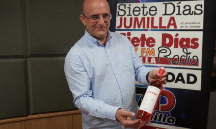Alceño Rosado 2023, uno de los vinos jóvenes y de moda más esperados tras la vendimia