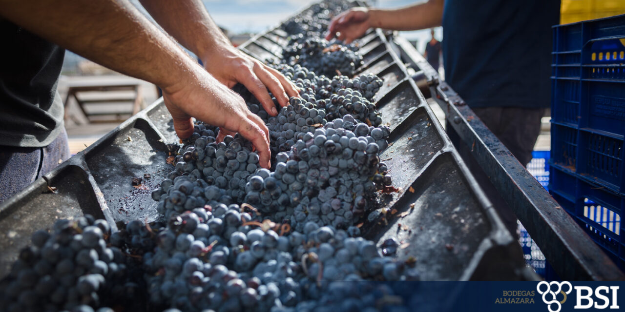 Las coyunturas internacionales provocan un descenso en las exportaciones de vino