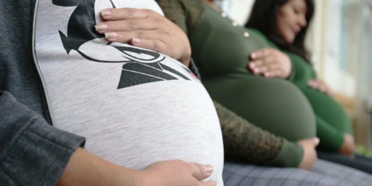 VOX solicitará al ayuntamiento pleno, un acuerdo para elaborar un proyecto que ayude a mujeres embarazadas con vulnerabilidad
