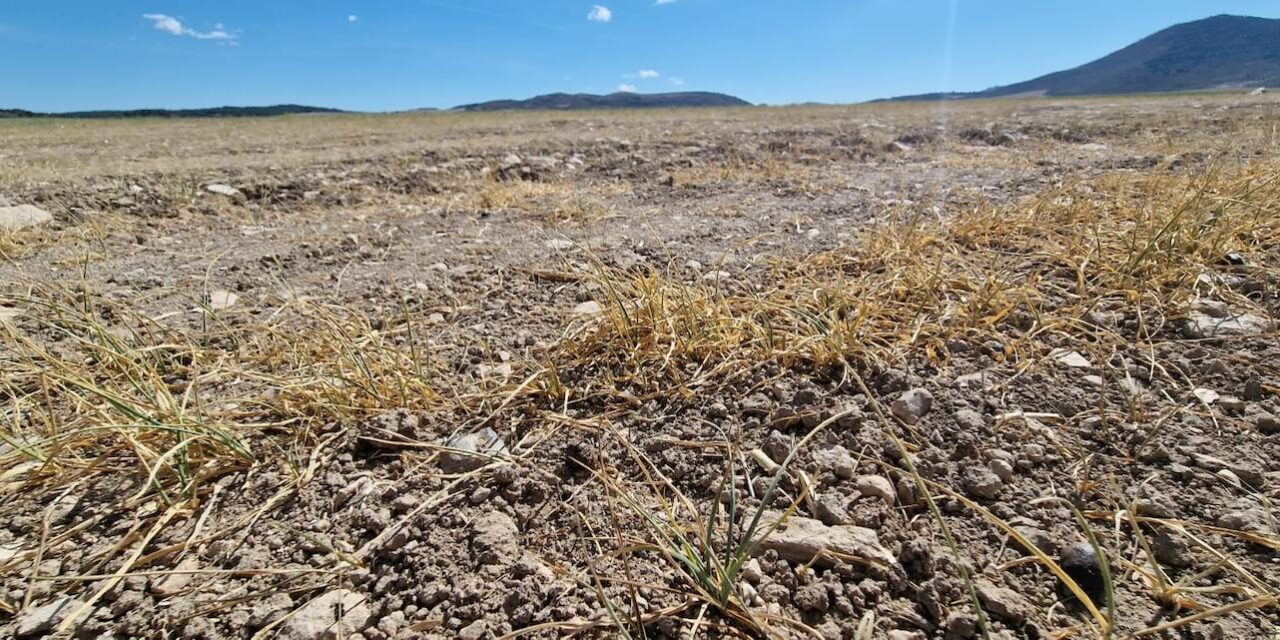 ASAJA y COAG se concentrarán el lunes frente a la Delegación del Gobierno para exigir medidas que palíen la sequía