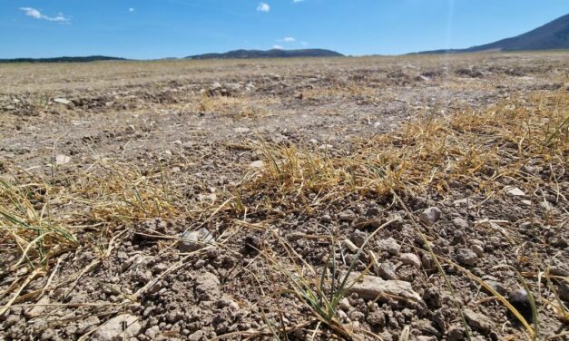 ASAJA y COAG se concentrarán el lunes frente a la Delegación del Gobierno para exigir medidas que palíen la sequía