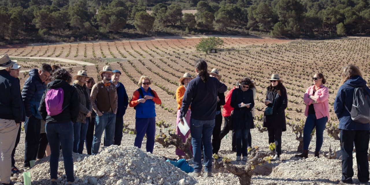 Educadores internacionales del mundo del vino visitan viñedos viejos de la DOP Jumilla