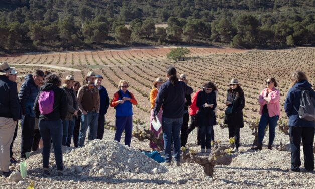 Educadores internacionales del mundo del vino visitan viñedos viejos de la DOP Jumilla