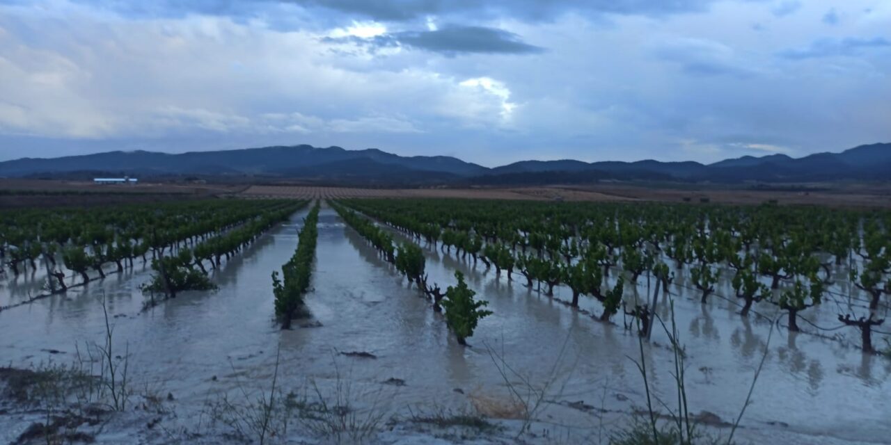 Las lluvias de los últimos días dejan acumulados de 100 litros por metro cuadrado