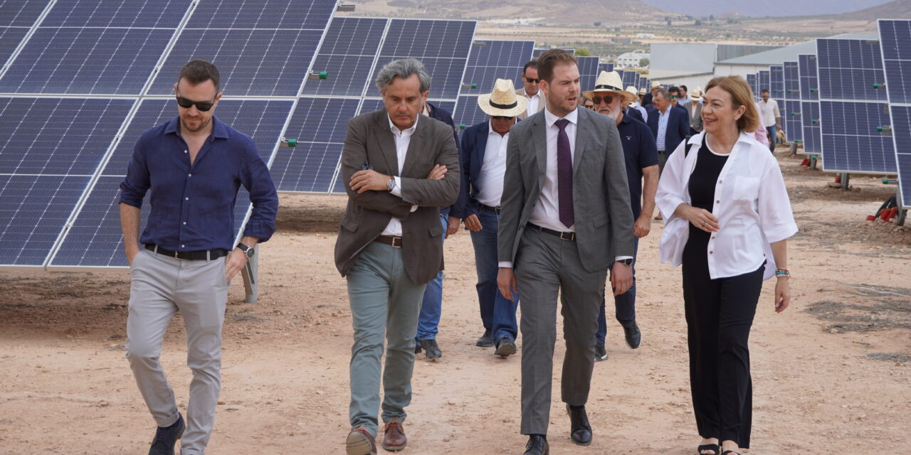 El parque solar Aljunzarejo ofrecerá suministro eléctrico a 1.500 hogares de Jumilla