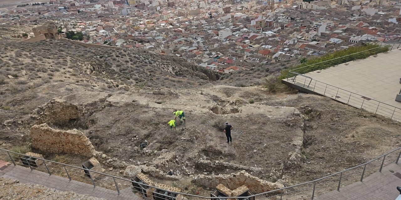 Servicios limpia las ruinas de Santa María de Gracia y desbroza los alrededores del Castillo