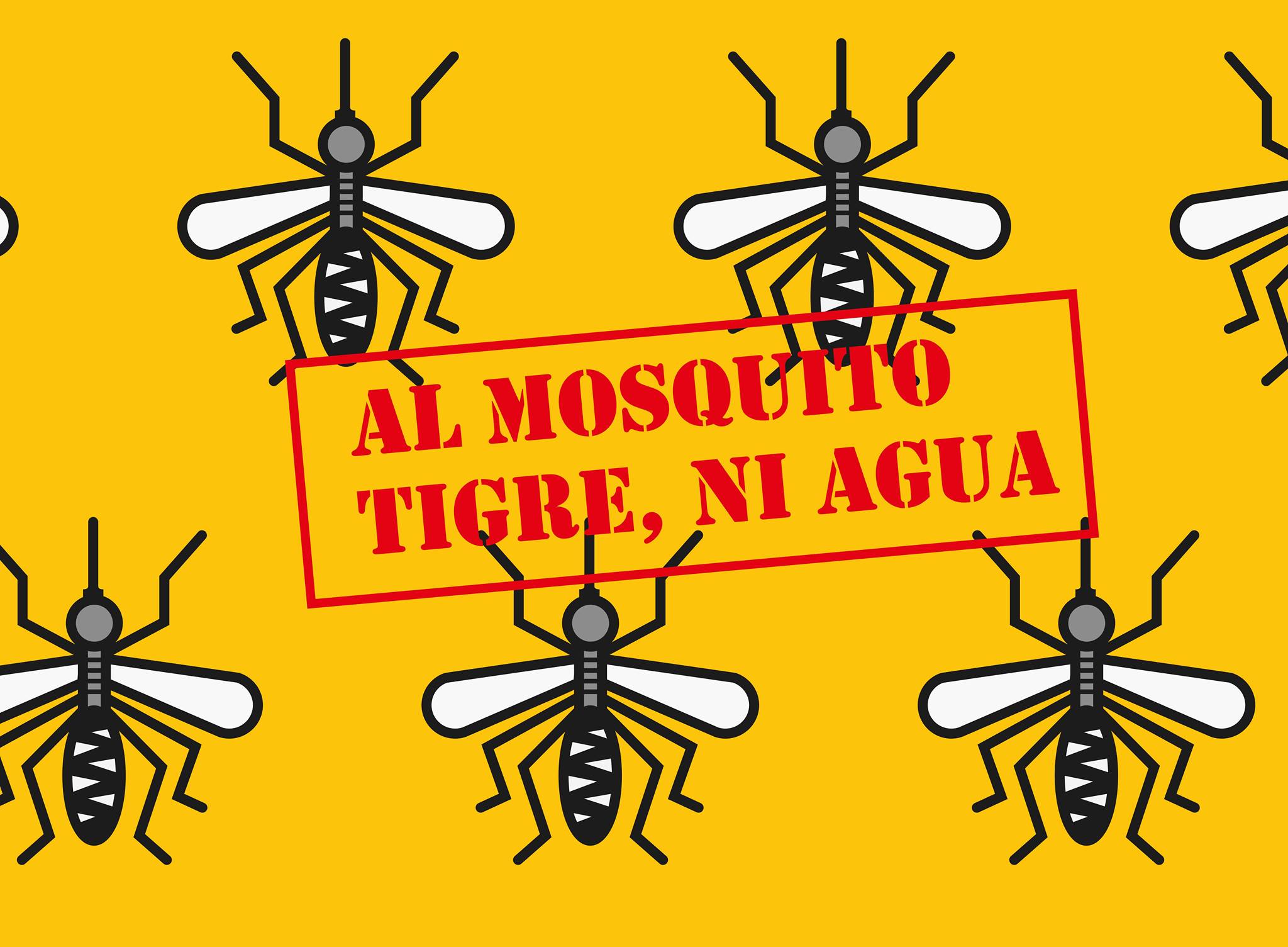 Salubridad de Jumilla solicita colaboración para evitar la aparición del mosquito tigre