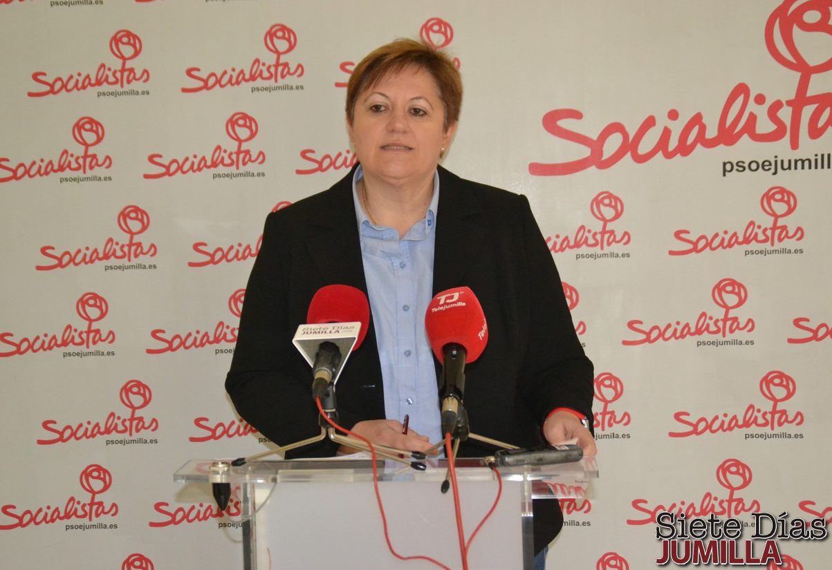 Yolanda Fernández desmiente el anuncio de Seve González sobre el proyecto de adecuación del IES Infanta Elena para 2018