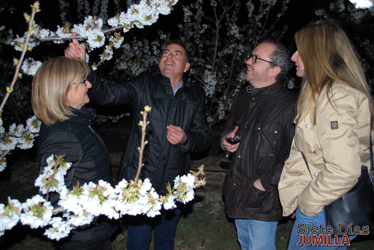 Más de 350 personas disfrutaron de la floración de los cerezos