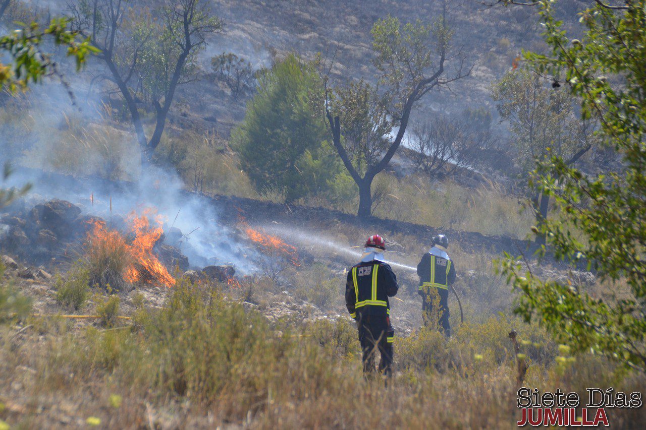 Controlado el incendio forestal en el Cerro del Oro de Jumilla
