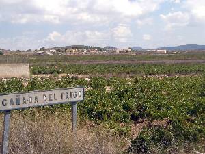 El área de pedanías del PP gira visita hasta la Cañada del Trigo