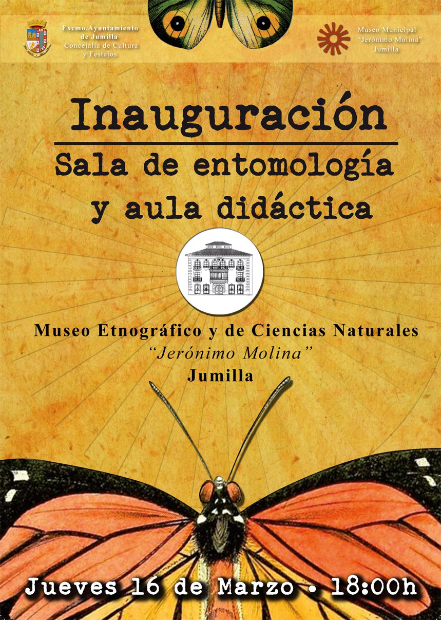 Este jueves se inaugura la sección de Entomología del Museo Municipal Jerónimo Molina