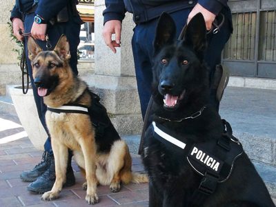 Se van a instalar boxes para perros en la Policía Local para la futura Unidad Canina