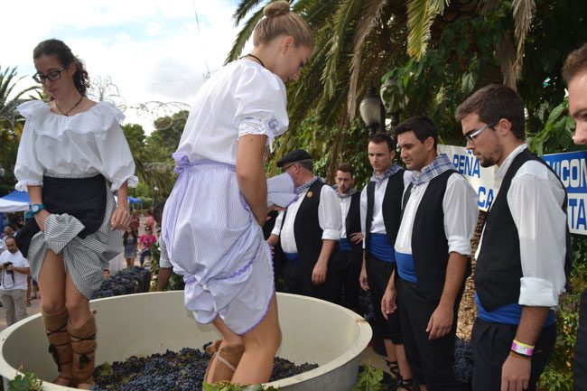 Un total de 77 personas participaron en el lanzamiento de grano de uva