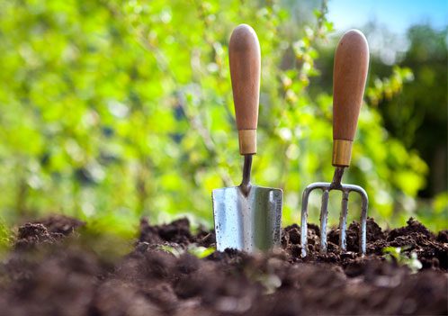 Se inicia el proceso relativo al contrato de servicios de limpieza y jardinería