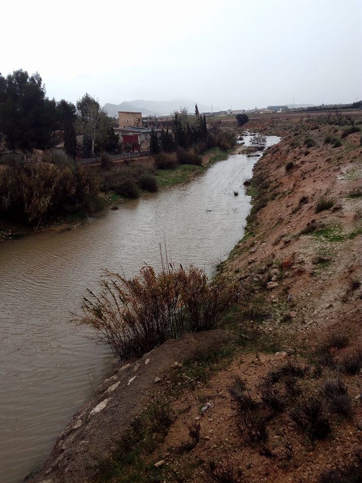 El temporal de lluvias deja en Jumilla más de 100 litros y  recarga los acuíferos