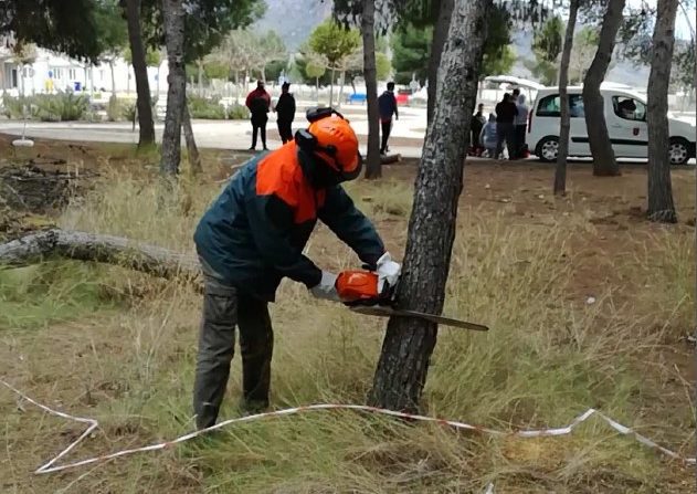 Un total de 20 alumnos del CIFEA aprenden sobre el manejo seguro de la motosierra