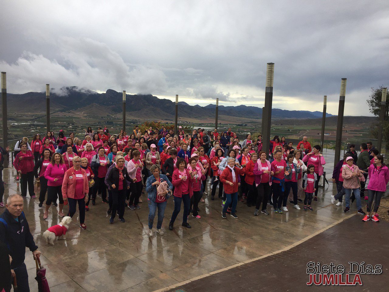 La lluvia no detuvo la marcha rosa al Castillo contra el cáncer de mama
