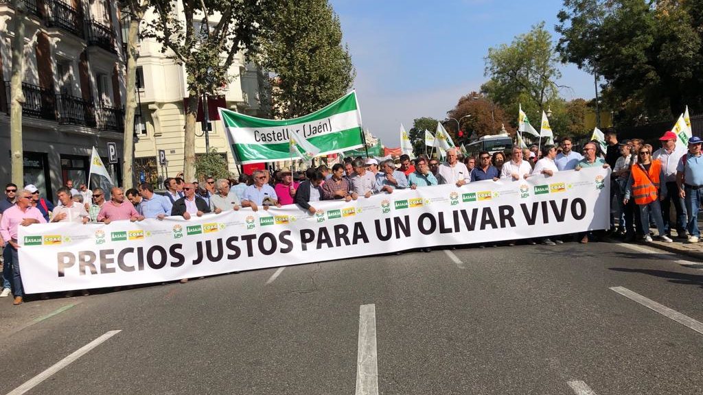 Una delegación del Altiplano participa en la manifestación en defensa del sector olivarero