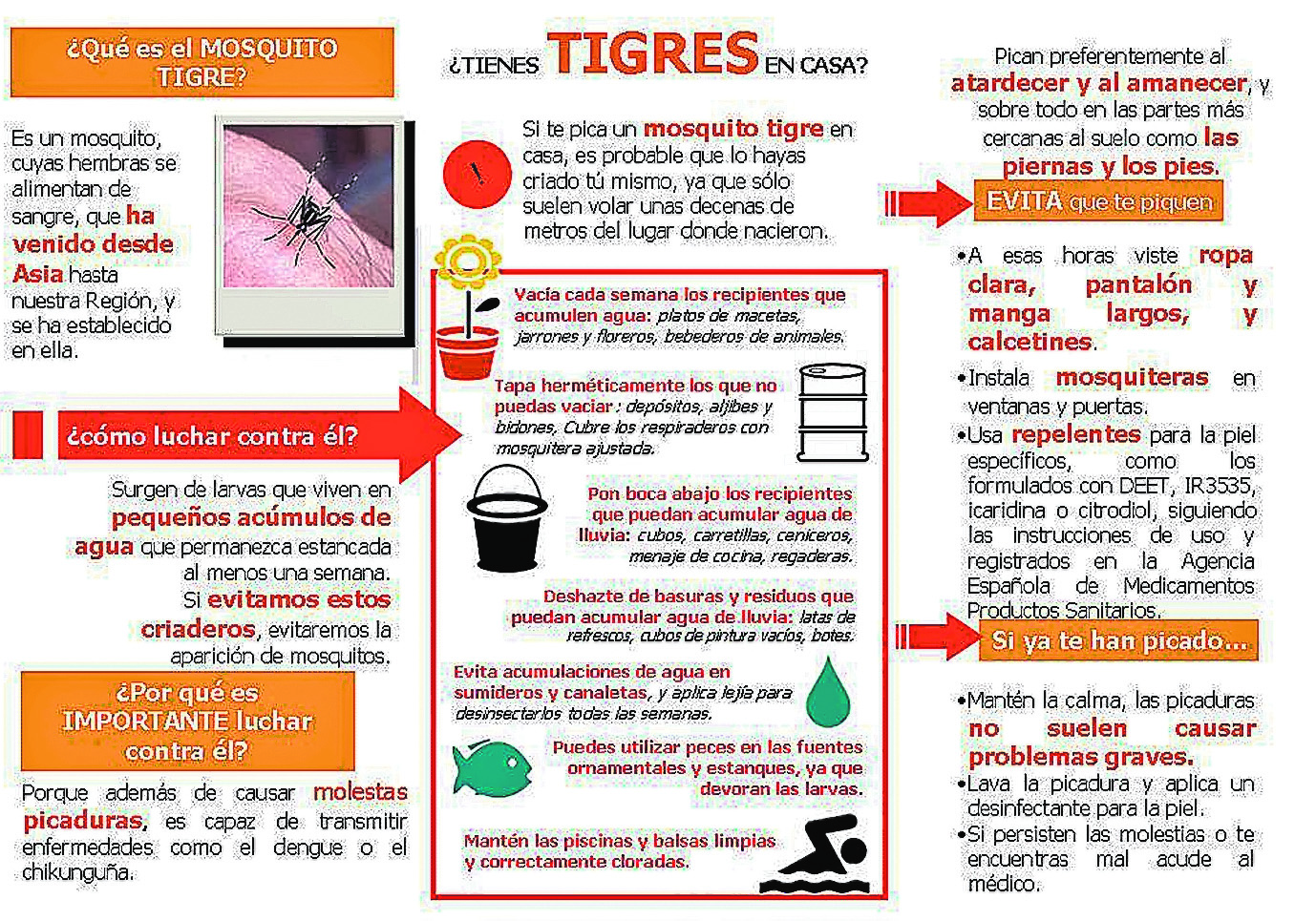 Se solicita la colaboración ciudadana para que no se expanda el mosquito tigre