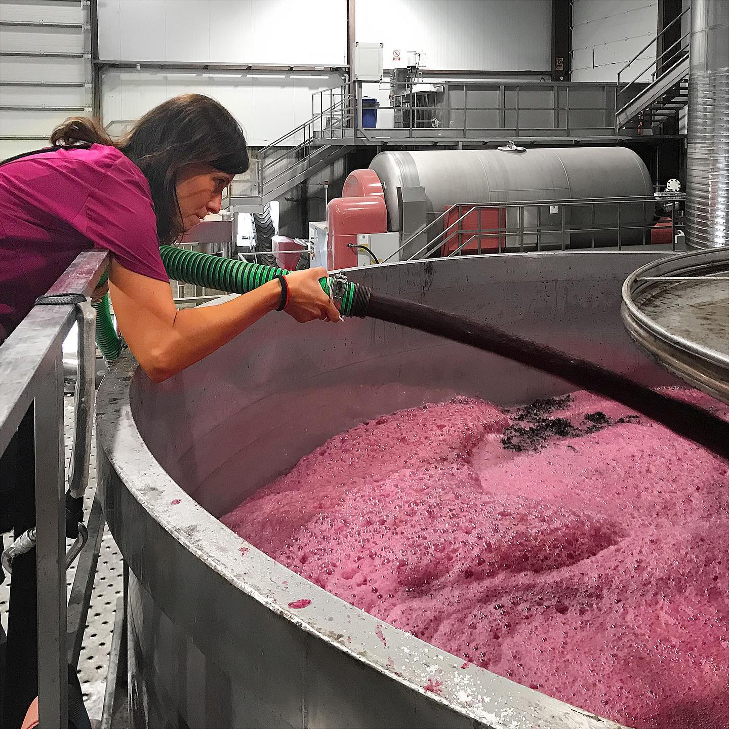 Elena Pacheco, Mujer Rural Emprendedora 2020: «Dedico esta distinción a nuestras madres y nuestras abuelas»