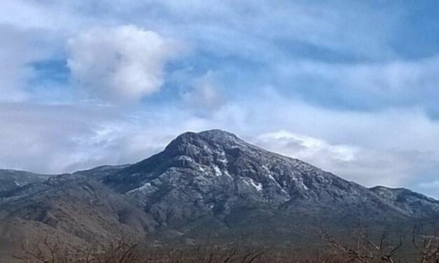 La ‘histórica’ lluvia de marzo dejó más de 184 litros en la Sierra del Carche